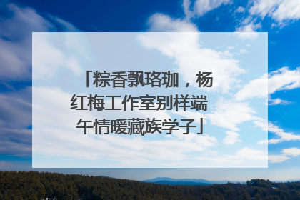 粽香飘珞珈，杨红梅工作室别样端午情暖藏族学子