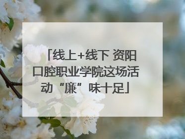 线上+线下 资阳口腔职业学院这场活动“廉”味十足