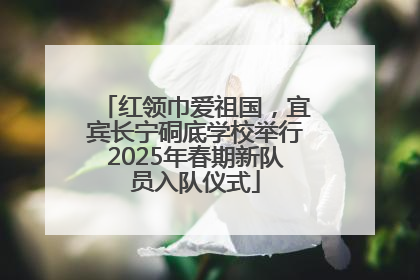 红领巾爱祖国，宜宾长宁硐底学校举行2025年春期新队员入队仪式