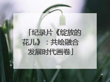 纪录片《绽放的花儿》：共绘融合发展时代画卷