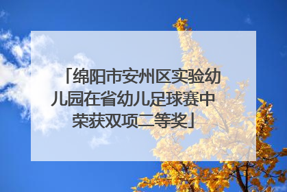 绵阳市安州区实验幼儿园在省幼儿足球赛中荣获双项二等奖