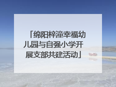 绵阳梓潼幸福幼儿园与自强小学开展支部共建活动