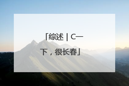 综述｜C一下，很长春