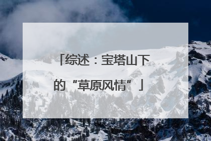 综述：宝塔山下的“草原风情”