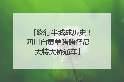 绕行半城成历史！四川自贡单跨跨径最大特大桥通车