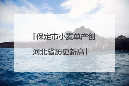 保定市小麦单产创河北省历史新高