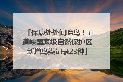 保康处处闻啼鸟！五道峡国家级自然保护区新增鸟类记录23种
