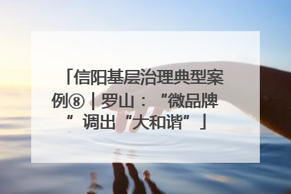 信阳基层治理典型案例⑧｜罗山：“微品牌”调出“大和谐”