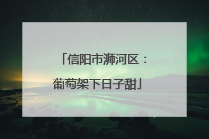 信阳市浉河区：葡萄架下日子甜