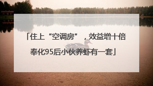 住上“空调房”，效益增十倍 奉化95后小伙养虾有一套