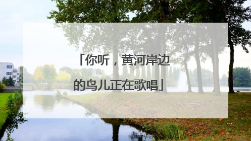 你听，黄河岸边的鸟儿正在歌唱