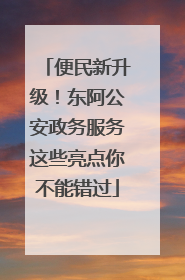 便民新升级！东阿公安政务服务这些亮点你不能错过