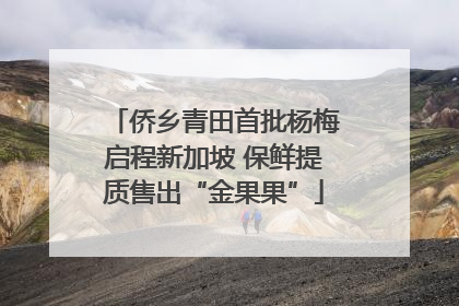 侨乡青田首批杨梅启程新加坡 保鲜提质售出“金果果”