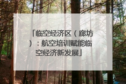 临空经济区（廊坊）：航空培训赋能临空经济新发展