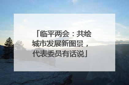 临平两会：共绘城市发展新图景，代表委员有话说