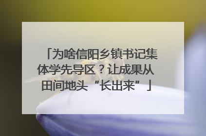 为啥信阳乡镇书记集体学先导区？让成果从田间地头“长出来”