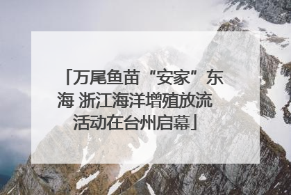 万尾鱼苗“安家”东海 浙江海洋增殖放流活动在台州启幕