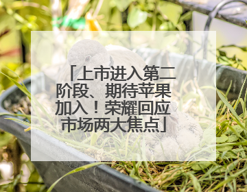 上市进入第二阶段、期待苹果加入！荣耀回应市场两大焦点