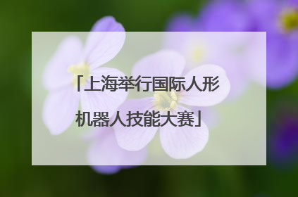 上海举行国际人形机器人技能大赛