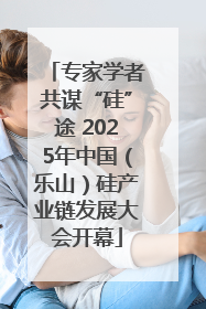 专家学者共谋“硅”途 2025年中国（乐山）硅产业链发展大会开幕