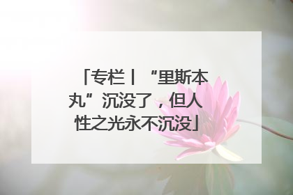 专栏丨“里斯本丸”沉没了，但人性之光永不沉没