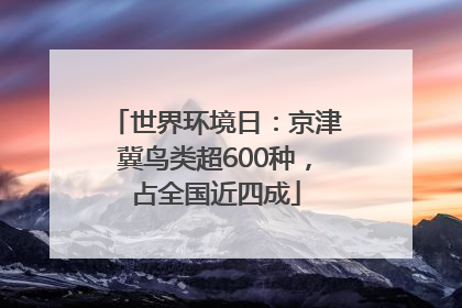 世界环境日：京津冀鸟类超600种，占全国近四成