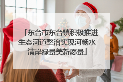 东台市东台镇积极推进生态河道整治实现河畅水清岸绿景美新愿景