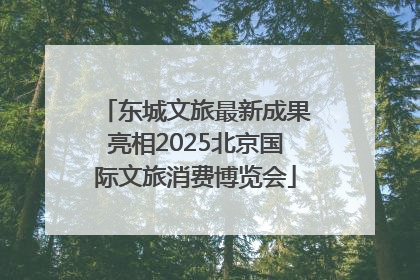 东城文旅最新成果亮相2025北京国际文旅消费博览会