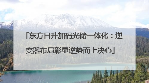 东方日升加码光储一体化:逆变器布局彰显逆势而上决心
