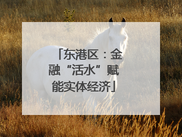 东港区：金融“活水”赋能实体经济