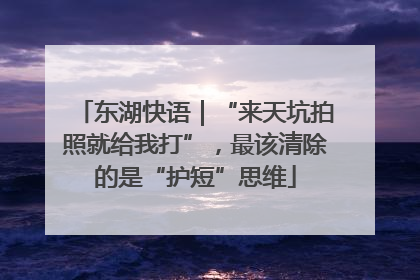 东湖快语｜“来天坑拍照就给我打”，最该清除的是“护短”思维