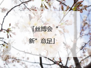 丝博会“新”意足