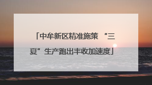 中牟新区精准施策 “三夏”生产跑出丰收加速度