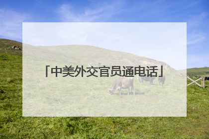 中美外交官员通电话