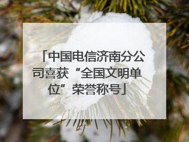 中国电信济南分公司喜获“全国文明单位”荣誉称号