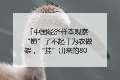 中国经济样本观察·“镇”了不起｜为衣做架，“挂”出来的80亿元“衣架产业”