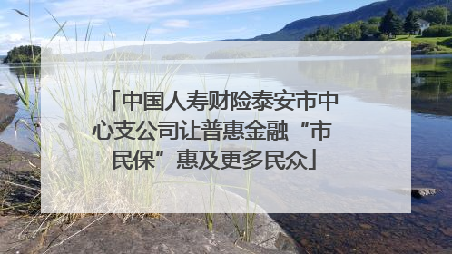 中国人寿财险泰安市中心支公司让普惠金融“市民保”惠及更多民众