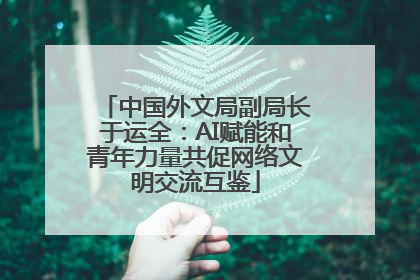 中国外文局副局长于运全：AI赋能和青年力量共促网络文明交流互鉴
