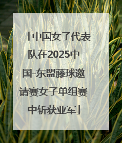 中国女子代表队在2025中国-东盟藤球邀请赛女子单组赛中斩获亚军