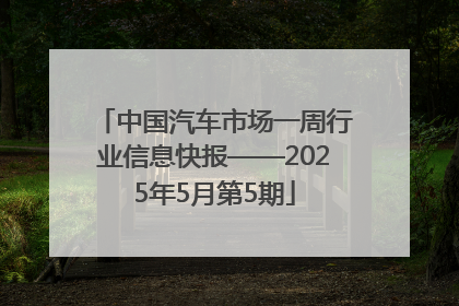 中国汽车市场一周行业信息快报——2025年5月第5期