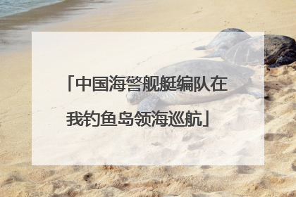 中国海警舰艇编队在我钓鱼岛领海巡航