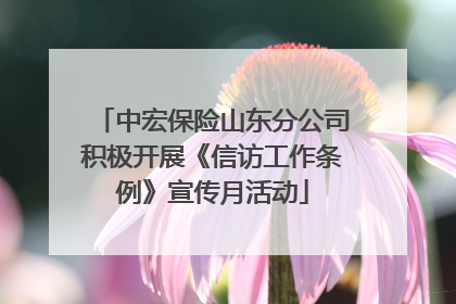 中宏保险山东分公司积极开展《信访工作条例》宣传月活动
