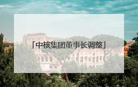 中核集团董事长调整