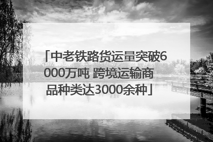 中老铁路货运量突破6000万吨 跨境运输商品种类达3000余种