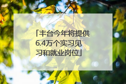 丰台今年将提供6.4万个实习见习和就业岗位