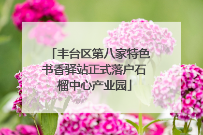 丰台区第八家特色书香驿站正式落户石榴中心产业园