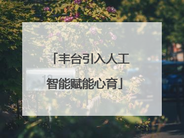 丰台引入人工智能赋能心育