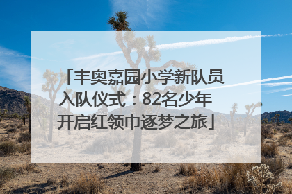 丰奥嘉园小学新队员入队仪式：82名少年开启红领巾逐梦之旅