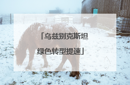 乌兹别克斯坦绿色转型提速