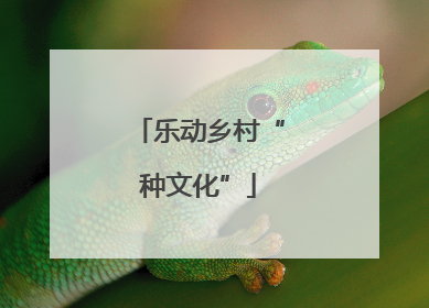 乐动乡村“种文化”